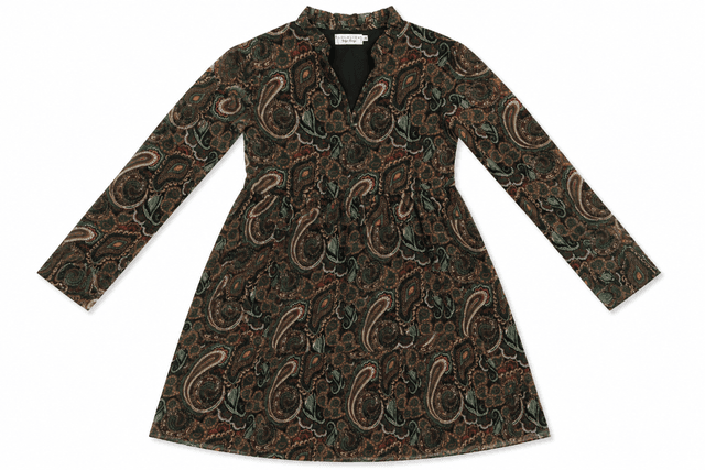Women's LOLALIZA Paisley Print Long-Sleeve Fit-and-Flare Dress – Size 38
